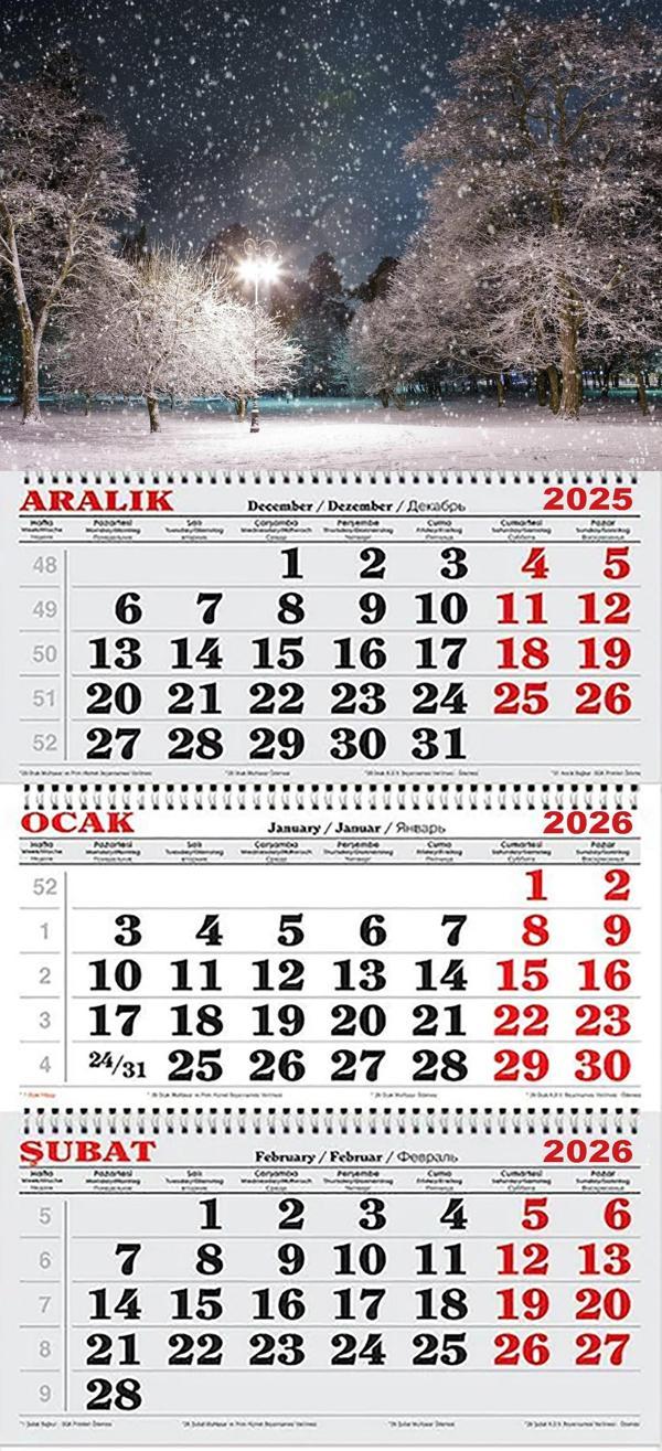 2026 Yılı Gemici Takvimi- Kar Yağışı ve Ağaçlar - Image 1