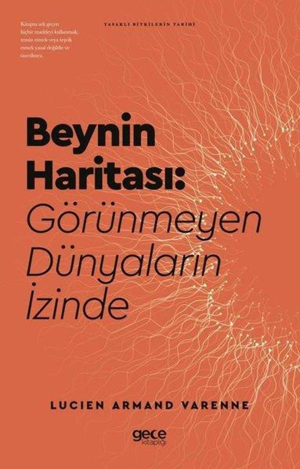 Beynin Haritası: Görünmeyen Dünyaların İzinde - Gece Kitaplığı - Image 1