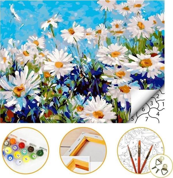 Papatyalar - Sayılarla Boyama Hobi Seti - Büyük Ölçü Boyalar ve Fırçalar Dahil 60x75cm Çerçeveli - Image 1