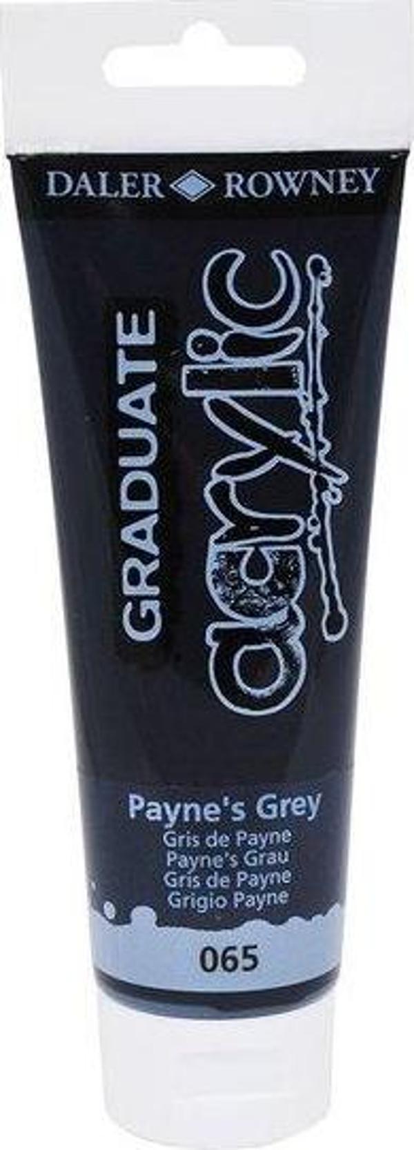 Daler Rowney Akrilik Boya 120ML Paynes Grey - Image 1