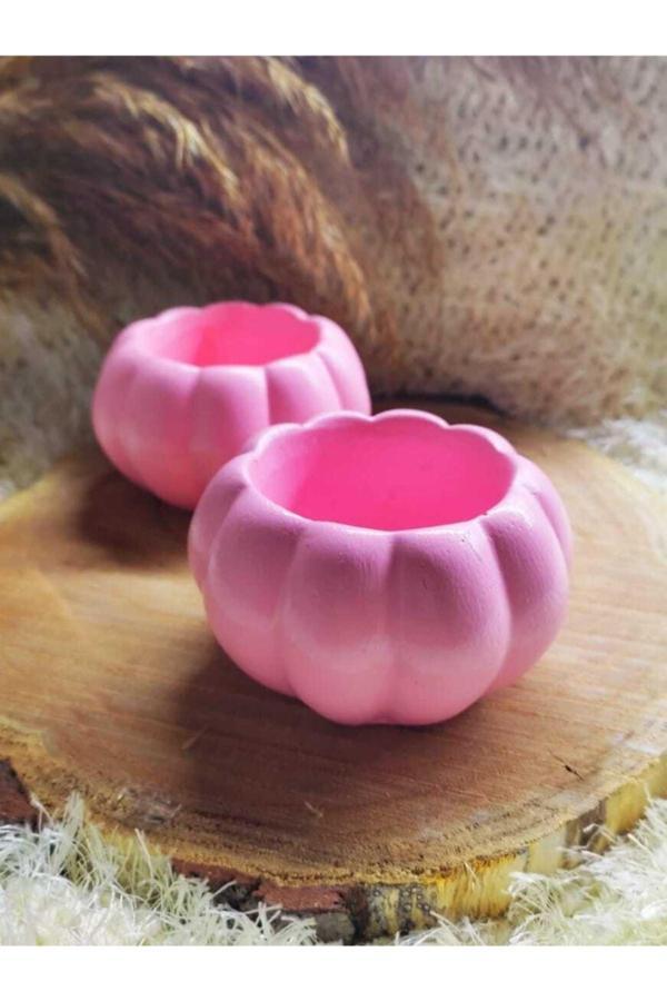 E.M.S Avm 2 Adet Pembe Kaktüs Ve Sukulent Saksısı Kabak Saksı - Image 1