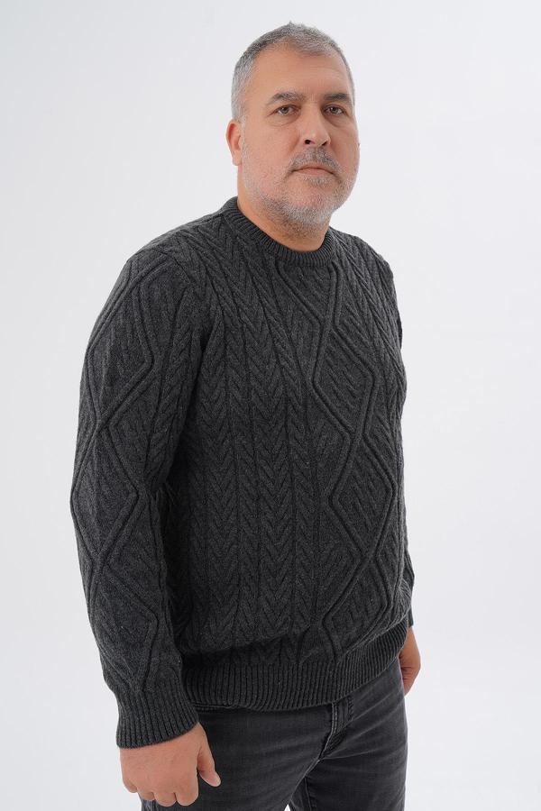 TRİST STAR BÜYÜK BEDEN ERKEK BAKLAVA YÜRÜTMELİ SAÇ ÖRGÜLÜ BİSİKLET YAKA YÜN KAZAK TRIST-2121 - Image 1