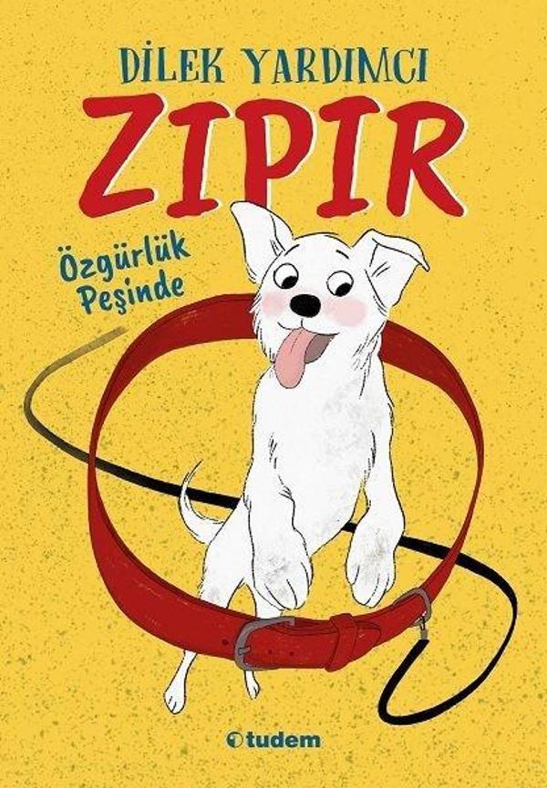 Zıpır Özgürlük Peşinde - Tudem Yayınları - Image 1
