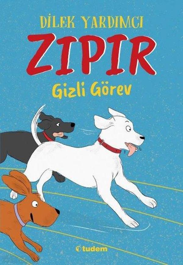 Zıpır Gizli Görev - Tudem Yayınları - Image 1