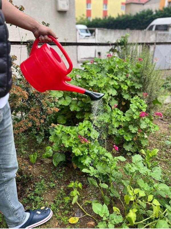 Aslan Ticaret 6 Lt Bahçe Sulama Bidonu Kırmızı - Image 1