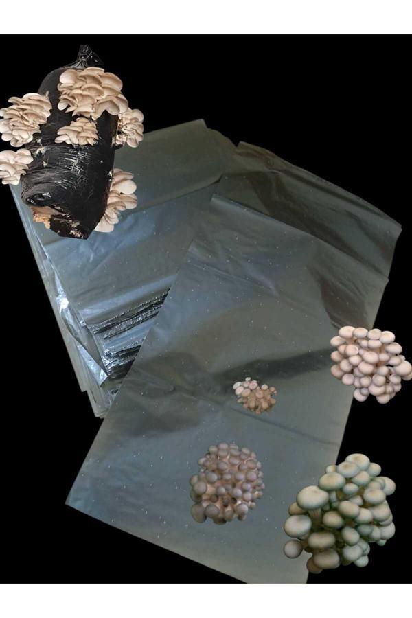 Mantarım 100 Adet Mikrodelikli Ekim Poşeti - Image 1