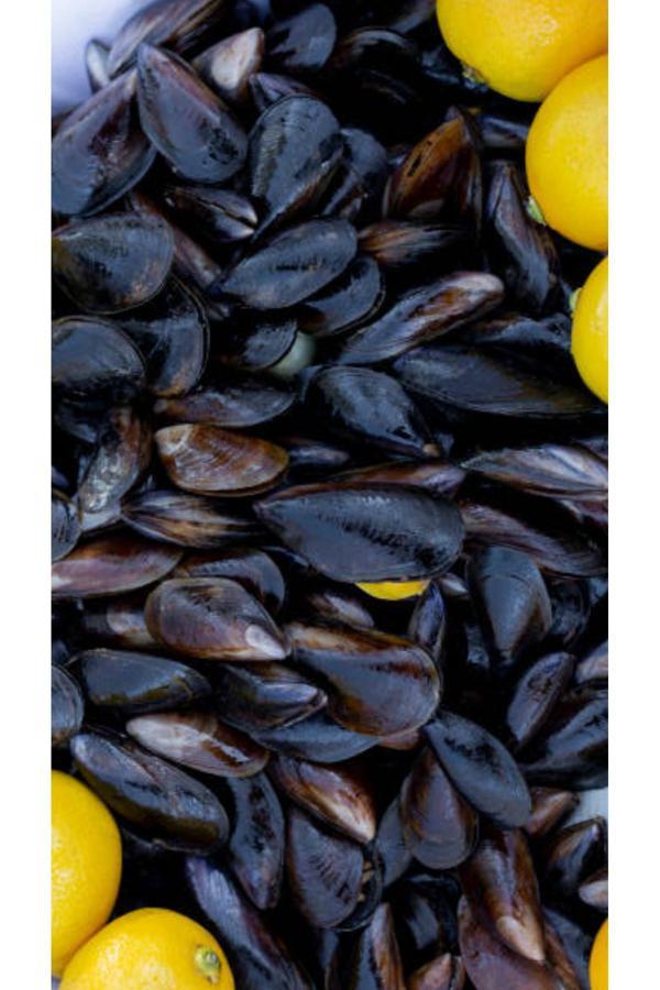 Uslu Şarküteri Meşhur İzmir Midyesi 1Kg. - Image 1