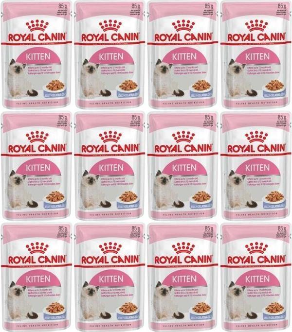 Royal Canin Jelly Kitten Yas Yavru Kedi Konservesi 85 gr 12 Adet - Image 1