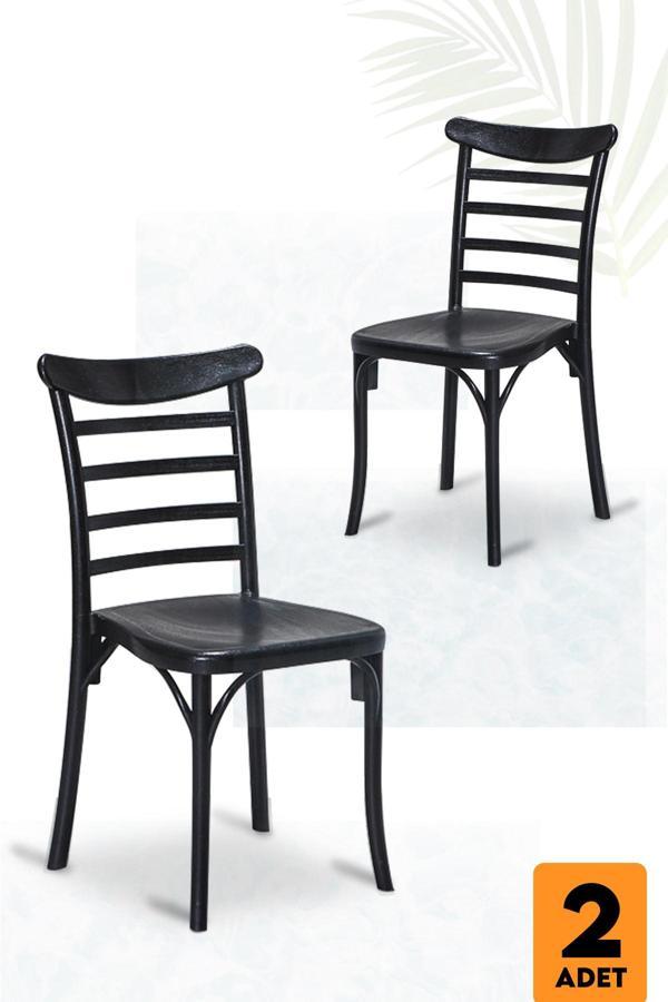 Sandalie Home Efes 2 Adet Mutfak Sandalye -Siyah - Image 1