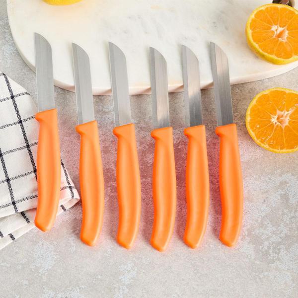 Aryıldız Mira 6 Parça Meyve Bıçak Seti Turuncu - Image 1