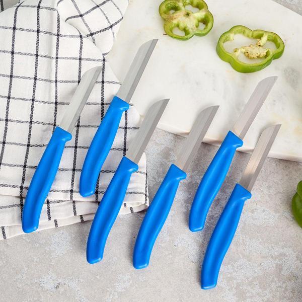 Aryıldız Mira 6 Parça Meyve Bıçak Seti Mavi - Image 1