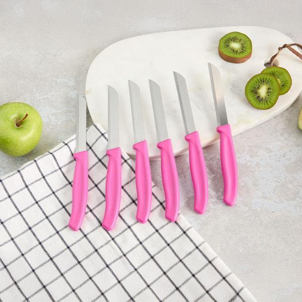 Aryıldız Mira 6 Parça Dişli Meyve Bıçak Seti Fuşya - Image 1