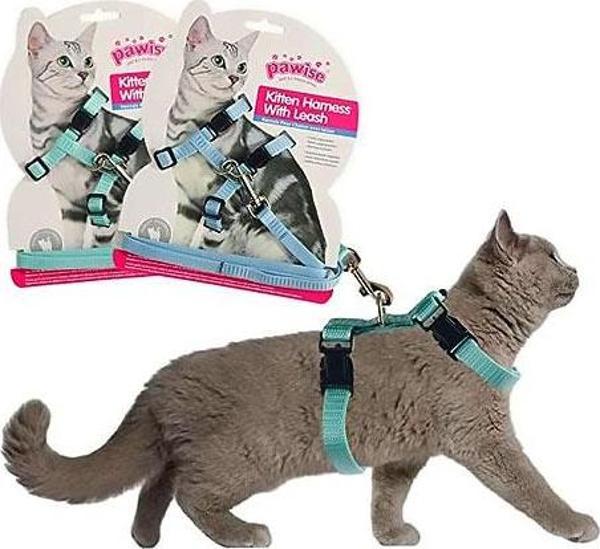 Pawise Kedi Göğüs T.(14.5-2518-30Cm) Yeşil-Mavi S - Image 1