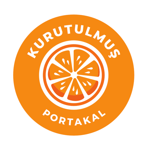 Kurutulmuş Portakal Sticker 150 Adet - Image 1