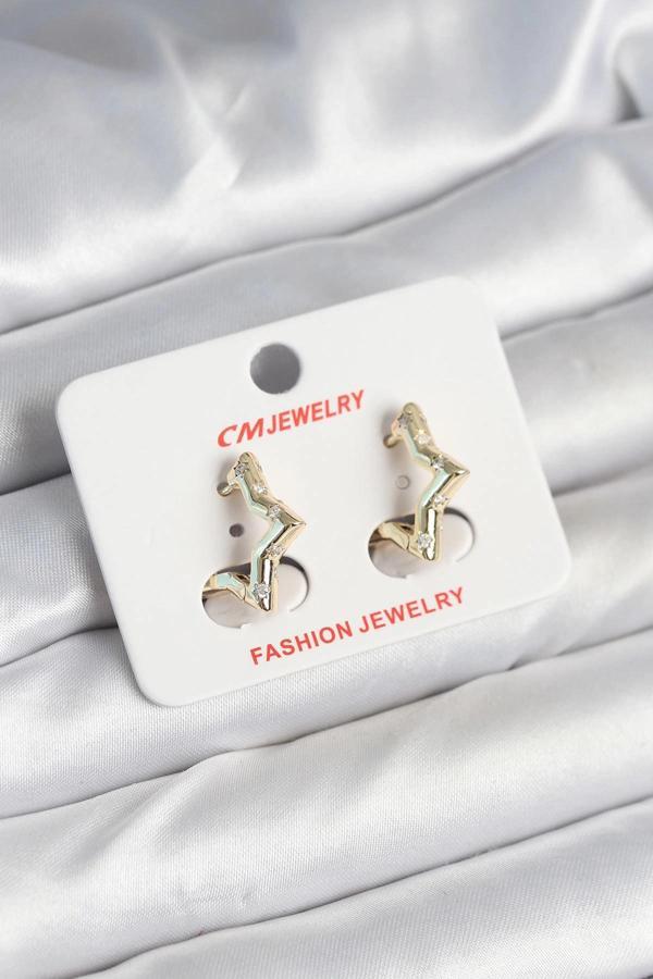 BFS Pirinç Gold Renk Yıldız Model Kadın Küpe - Image 1