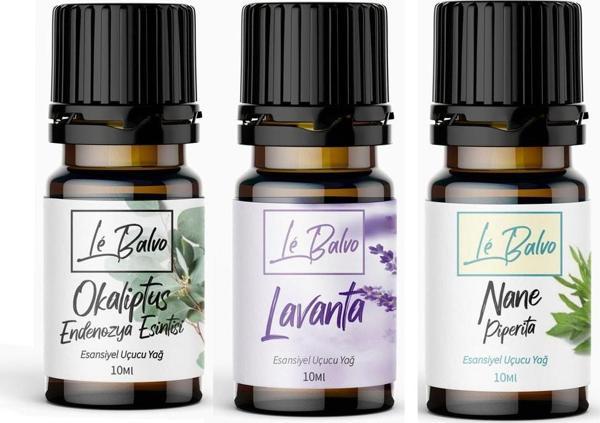 Le Balvo Okaliptus,Lavanta,Nane Doğal Uçucu Saf Buhurdanlık Esansı Oda Kokusu Esans Buhur Yağı 10ml - Image 1