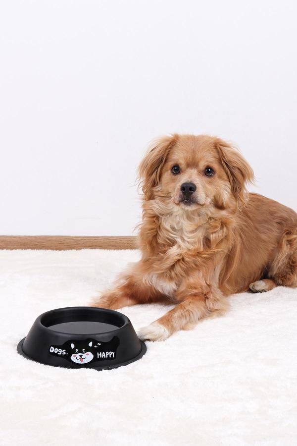 RENKli Metal Mama Kabı, Kedi Köpek Mama Su Kabı 20 cm - Image 1