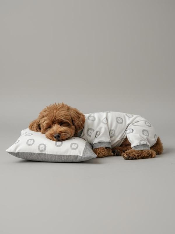 Soft Lion Köpek Uyku Takımı | Pamuklu Penye Köpek Tulumu ve Mini Yastık | Küçük Irklar İçin | Tüy Dökülmesini Azaltır - Image 1