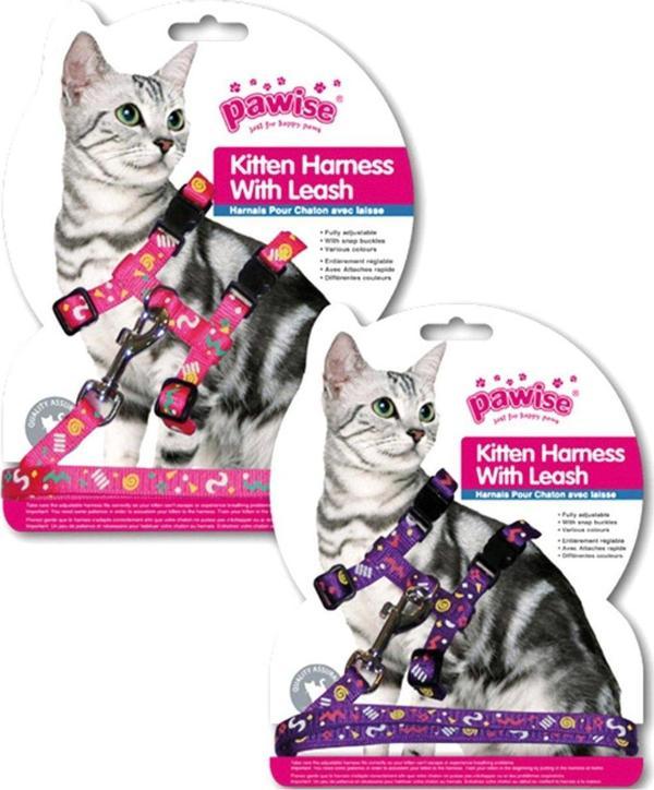 Pawise Yavru Kedi Göğüs Tasması Pembe Mor - Image 1