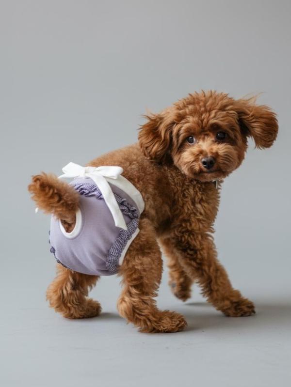 Princess Lila Dişi Köpek Regl Külotu | Köpek Donu | Köpek İç Çamaşırı | Ayarlanabilir Bağcıklı | Küçük Irklar İçin - Image 1