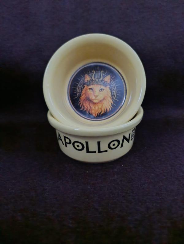 Raccoon Olimpos Serisi Apollon Seramik Mama Ve Su Kabı 300ml - Image 1