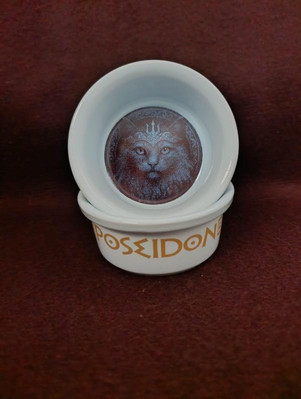 Raccoon Olimpos Serisi Poseidon Seramik Mama Ve Su Kabı 300ml - Image 1