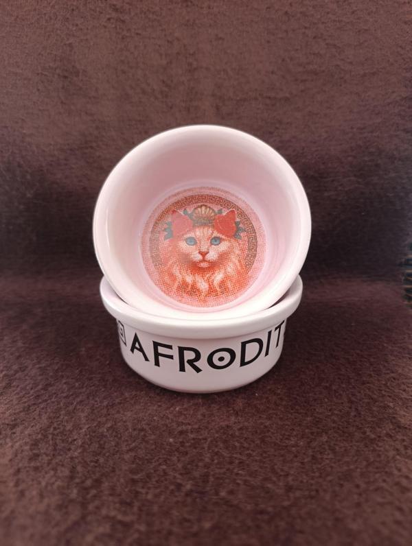 Raccoon Olimpos Serisi Afrodit Seramik Mama Ve Su Kabı 300ml - Image 1