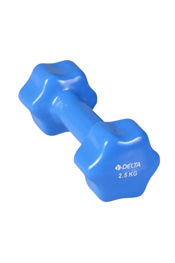 Delta 2,5 Kg Pvc Dambıl Ağırlık - Image 1