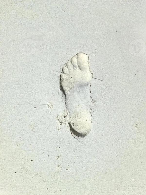 Astra -K- 2019- Panjur Bandı Nikelaj Sağ Oem No (39206368) - Image 1