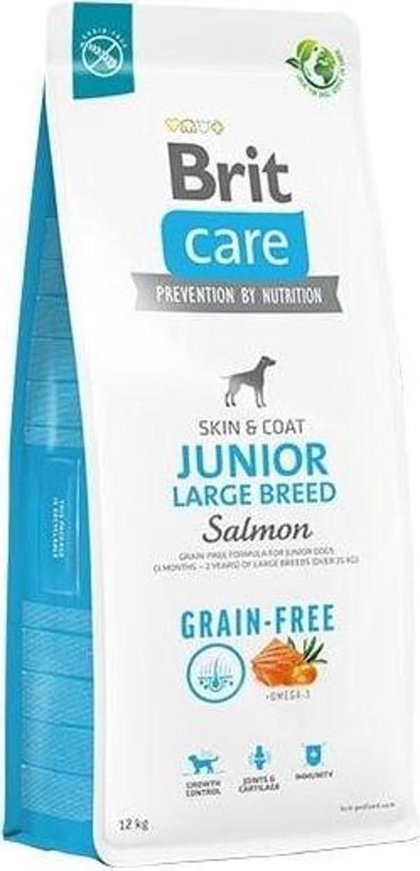 Brit Care Tahılsız Skin & Coat Somonlu Büyük Irk Yavru Köpek Maması 12 Kg - Image 1