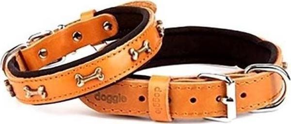 Doggie Comfort Deri Kemik Süslü Köpek Boyun Tasması Medium Camel 2x35-40 Cm - Image 1