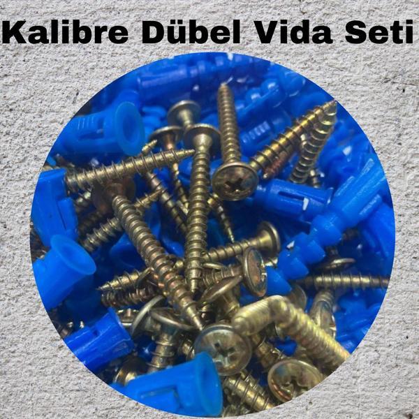 Kalibreli Dübel ve Vida Seti 100 Adet – Pul Başlı, 8mm Dübel - Image 1