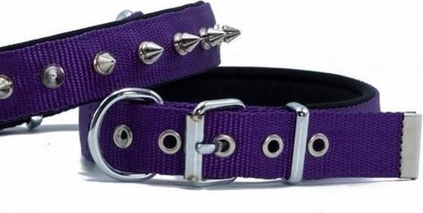 Doggie Konfor Dokuma Çivili Köpek Boyun Tasması Mor 2,5x42-50 Cm - Image 1