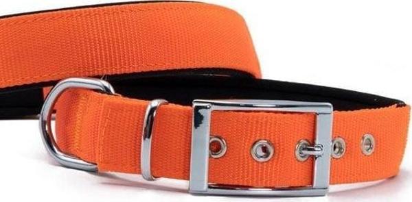Doggie Elit Dokuma Köpek Boyun Tasması Medium Turuncu 3x42-50 Cm - Image 1