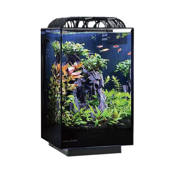 Anubias Labeo 25 Nano Akvaryum Siyah 25 x 25 x 40 Cm - Image 1