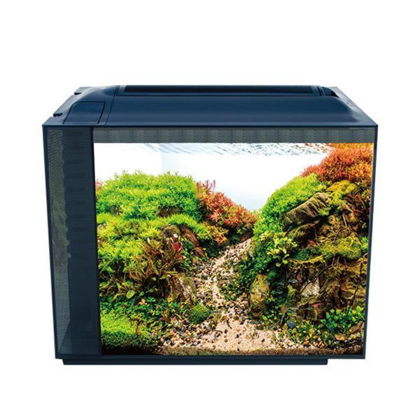 Anubias Pleco 55 Nano Akvaryum Siyah 55,5 x 29,5 x 44 Cm - Image 1