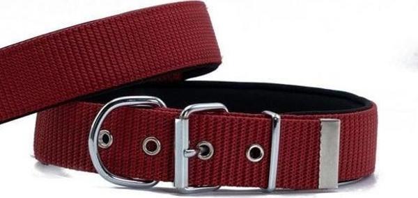 Doggie Konfor Dokuma Köpek Boyun Tasması Small Kırmızı 5x50-60 Cm - Image 1