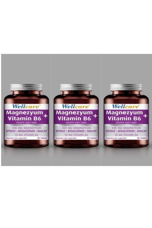 Wellcare Magnezyum + Vitamin B6 30 Tablet 3 Adet - Image 1