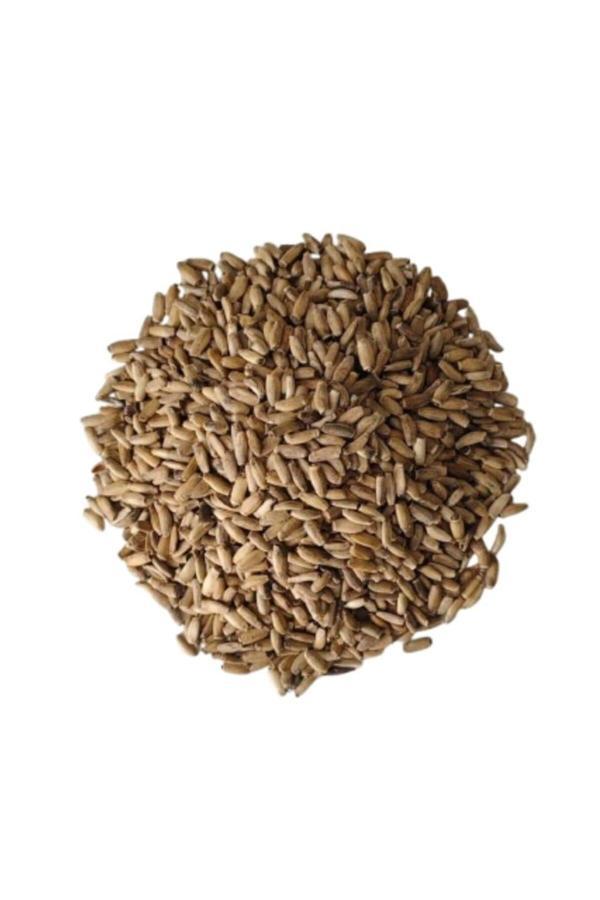 Silifke Market Kenger (Yabani Enginar) Tohumu 250 Gr - Image 1