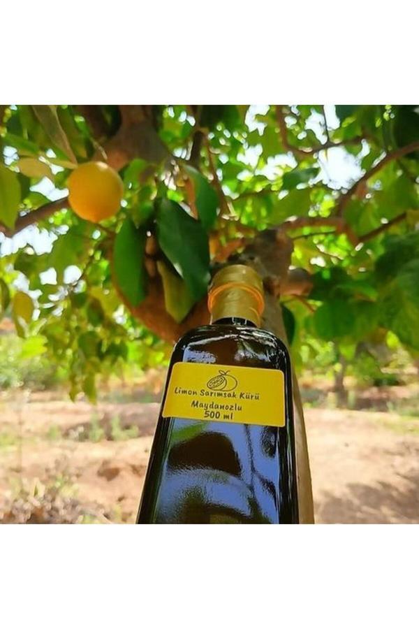 Silifke Market Limon Sarımsak Kürü Maydanozlu 500 Ml - Image 1