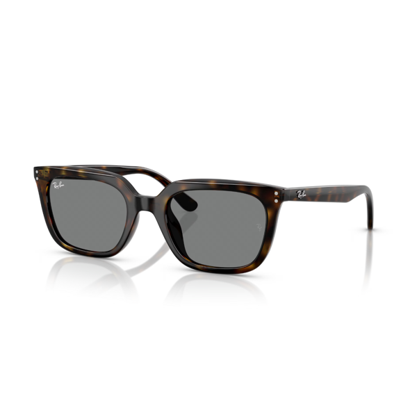 RB 4439D 710/87 54 Ray-Ban Güneş Gözlüğü - Image 1