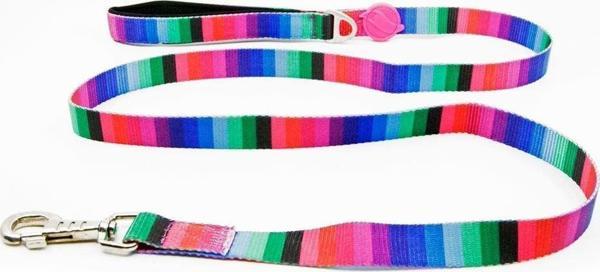 Tailpetz Wave Leash Köpek Sevk Kayışı Medium 2x140 Cm - Image 1