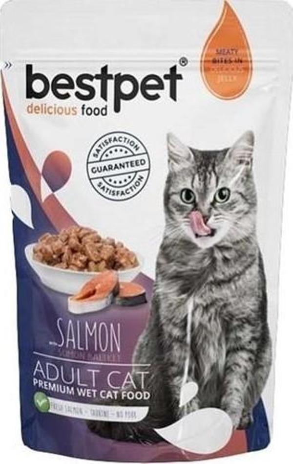 Bestpet Adult Jelly Pouch Somonlu Kedi Maması 85 Gr - Image 1