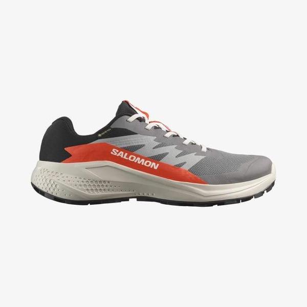 Salomon Alphaglide Gore-Tex Erkek Koşu Ayakkabısı L47975300 - Image 1