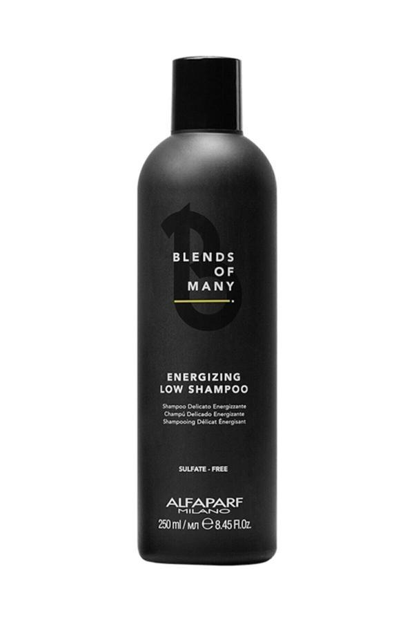 Alfaparf Blends Of Many Erkekler Için Tüm Saç Tiplerine Uygun Dökülme Karşıtı Şampuan 250 Ml - Image 1