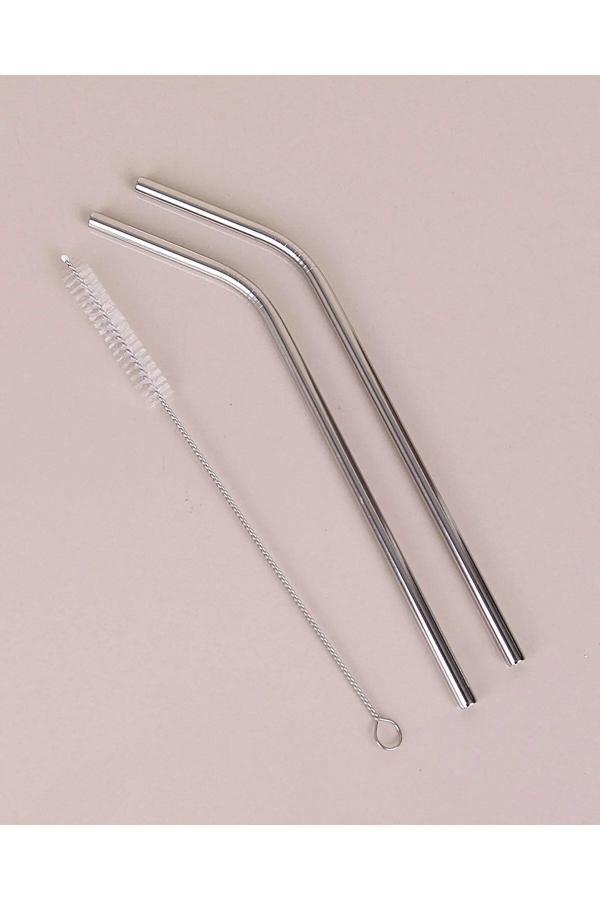 Pointtech 2'Li Paslanmaz Çelik Pipet, Temizleme Fırçası, Metal Pipet - Image 1