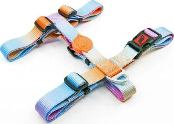 Tailpetz Pass Desenli Köpek Göğüs Tasması Xsmall 19-33x22-37 Cm - Image 1