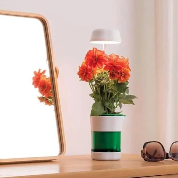 Hızlı Bitki Yetiştirme Saksısı - Image 1