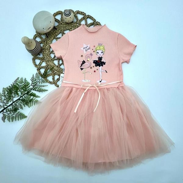 5-6-7 Yaş Flamingo Balerin Kız Baskılı Kurdela Kuşaklı Astarlı Kız Çocuk Tütü Elbise Somon - Image 1