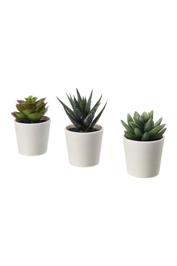 Ikea Fejka Kaktüs 3 Lü Set 6 Cm Yapay Bitki Çiçek Saksılı Kaktüs - Image 1